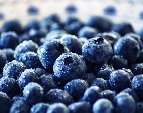 冷凍藍莓，一個被嚴重低估的產品